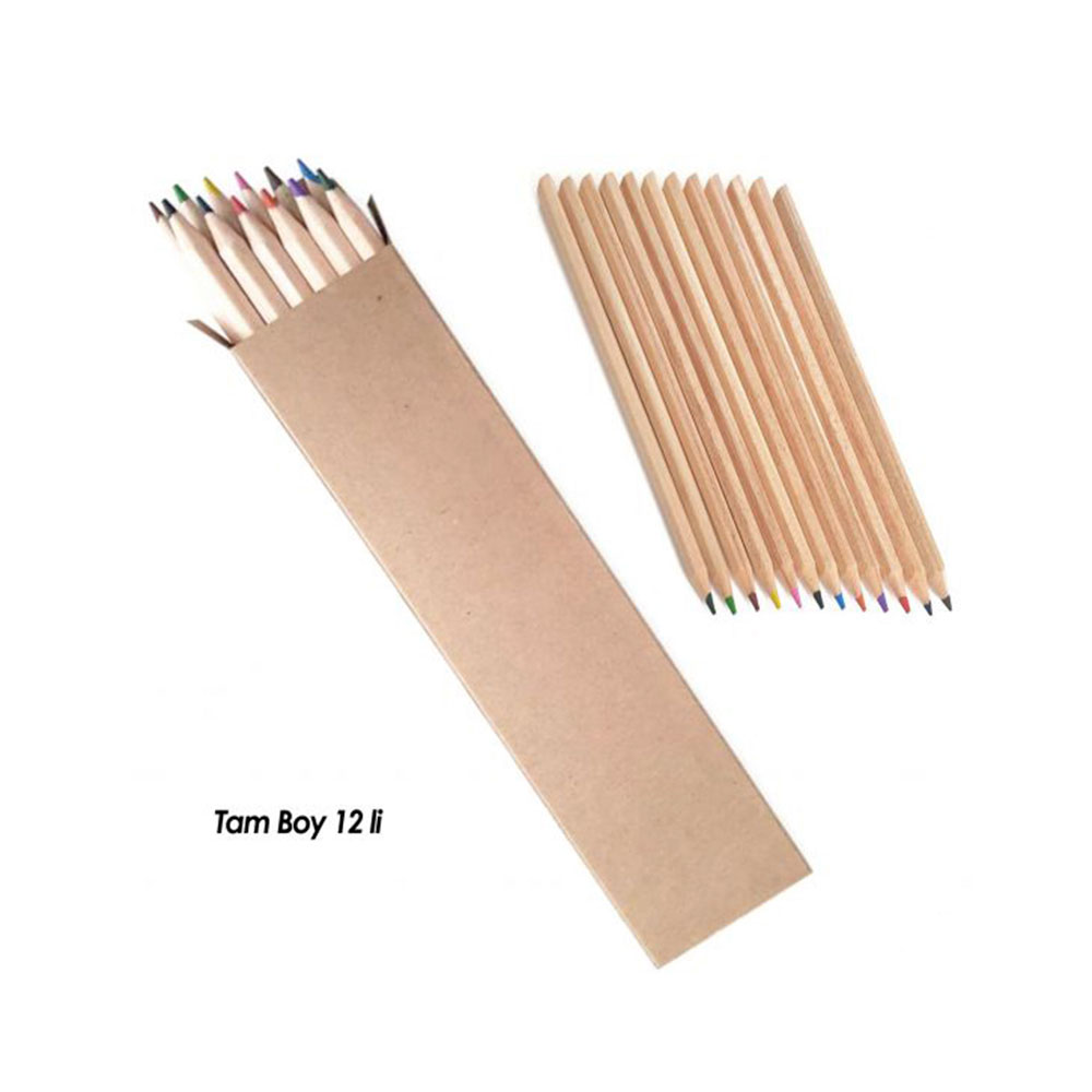 462201 BAŞYAYLA 12Lİ TAM BOY BOYAMA SETİ - Görsel 1